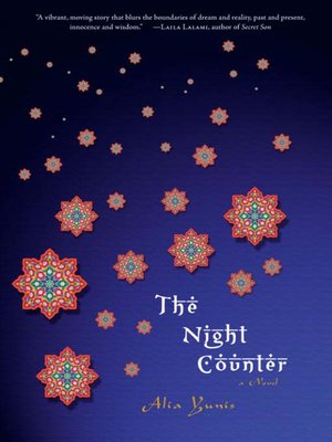 cover image of The Night Counter